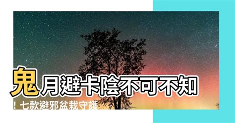 避邪盆栽|【避邪盆栽】鬼月避卡陰不可不知！七款避邪盆栽守護。